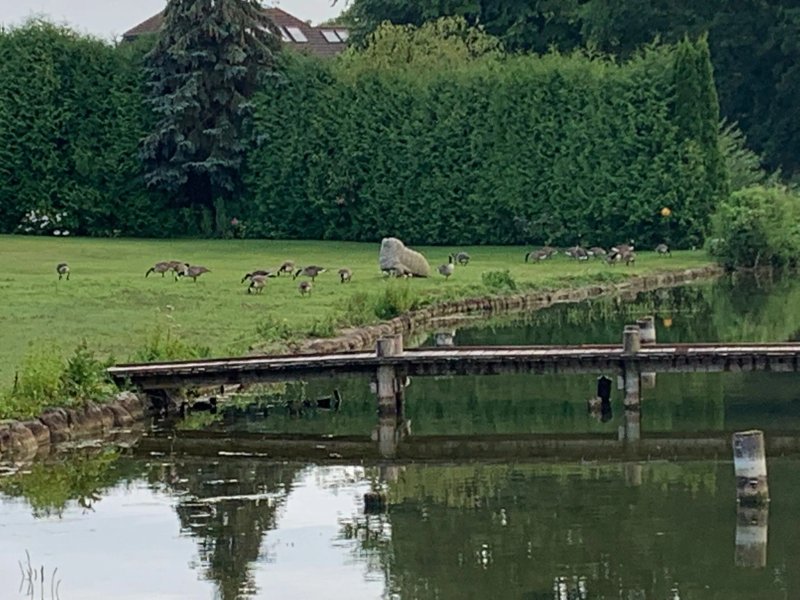 Strauers Hotel Am See