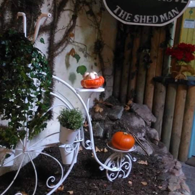 Country Store & Cafe Timbertrove