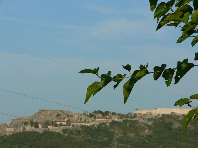 Slatki Snovi