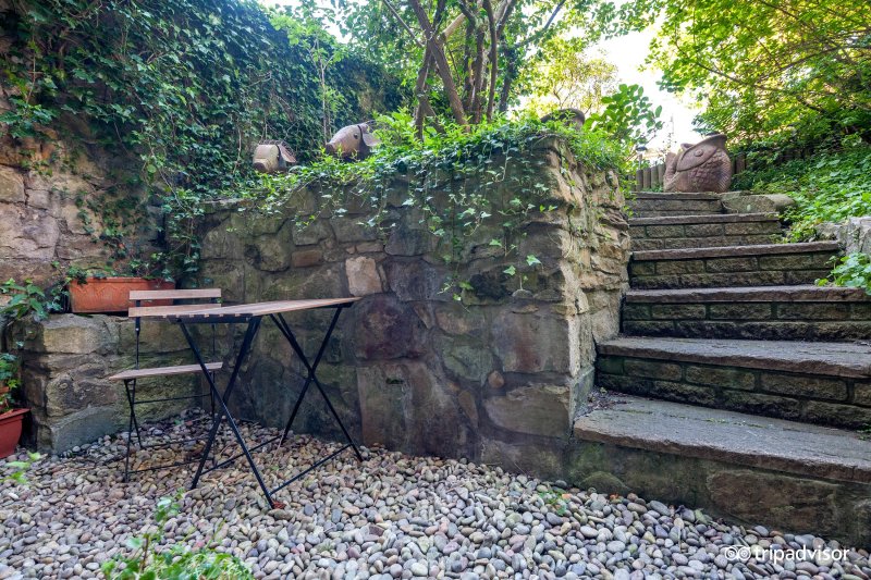 Dene Guest House