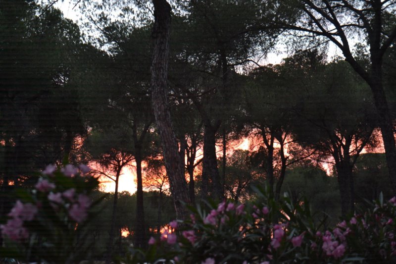 Camping Dehesa Nueva