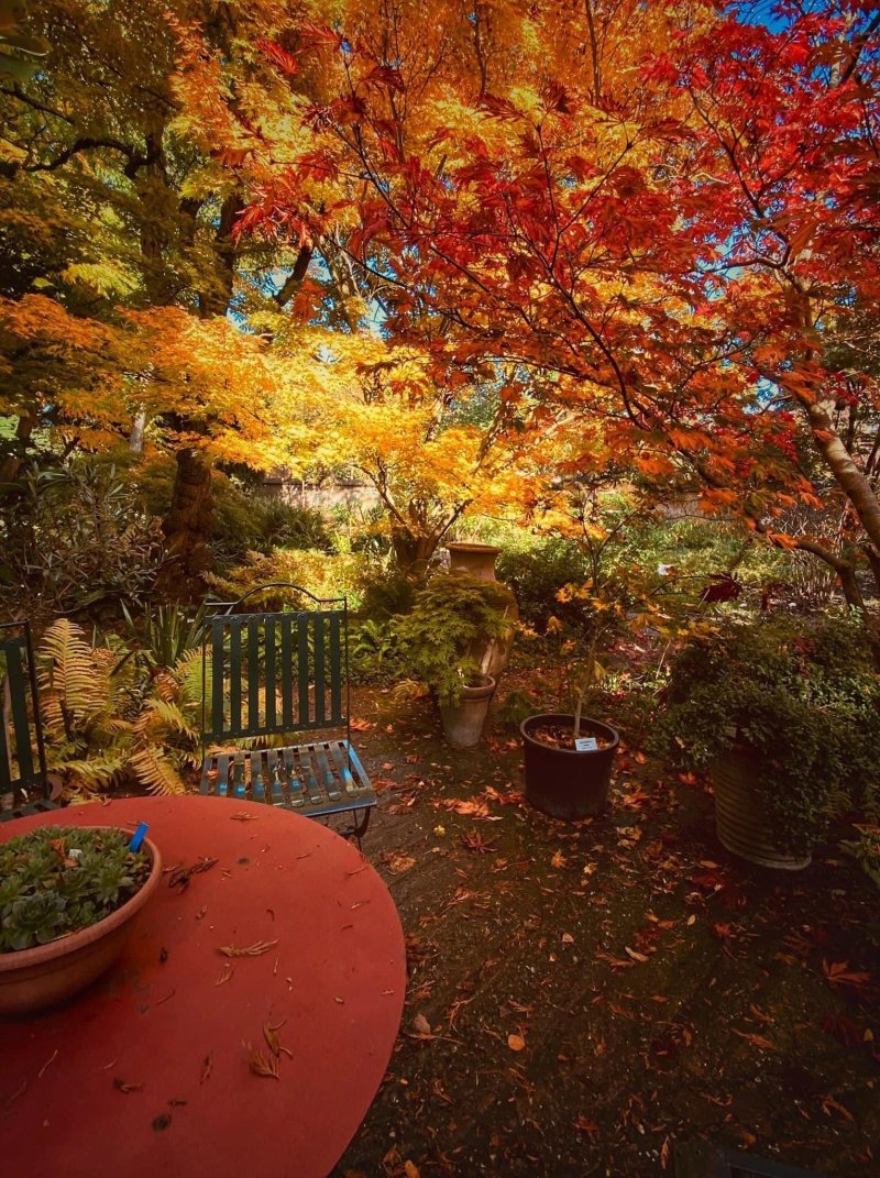Jochumshof Botanische tuin