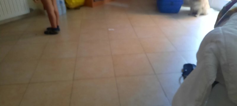 Hotel Casella