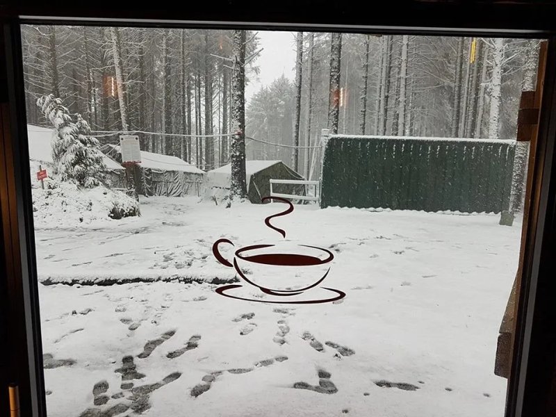 The Coffee Cottage