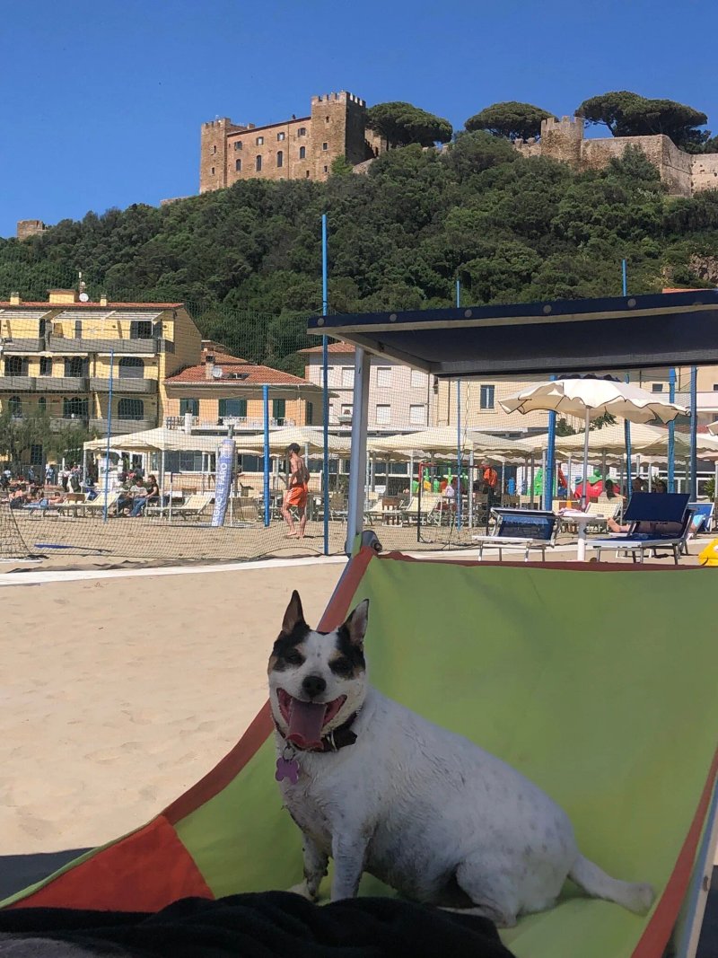 Ristorante Pizzeria Bagno il Faro