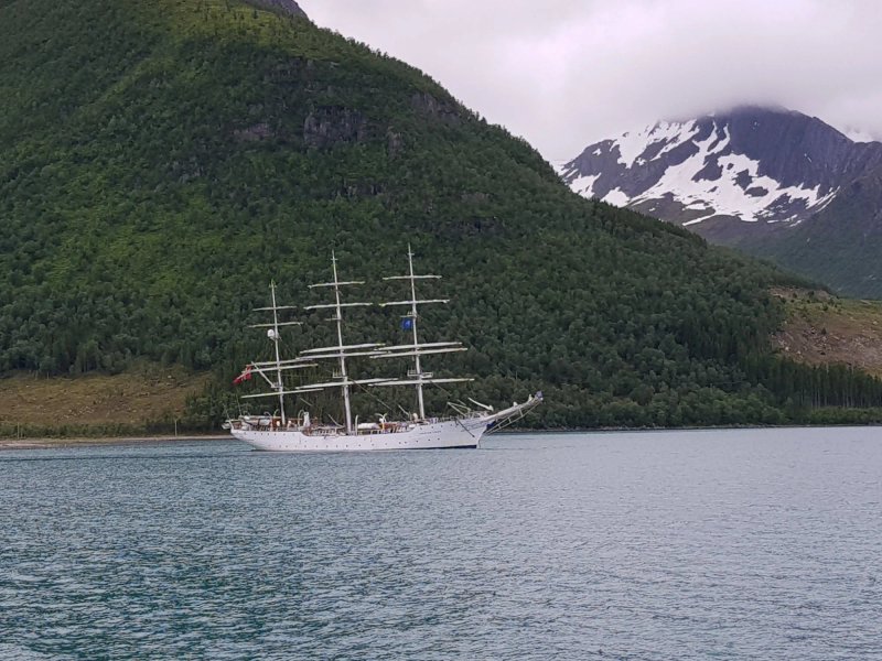 Svartisen
