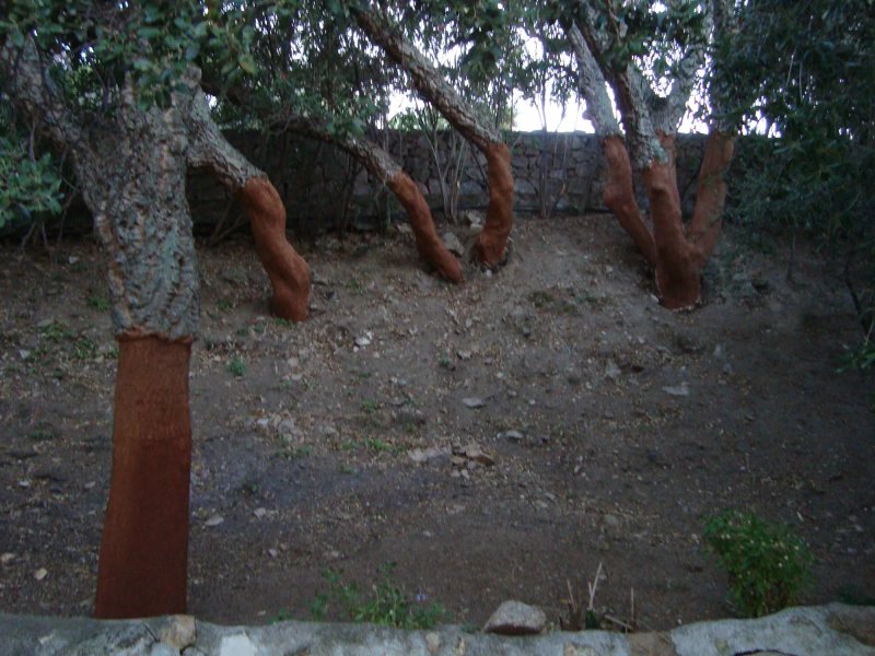 Hotel Santrano