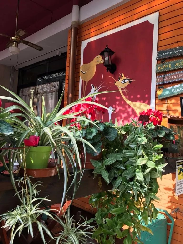 Osteria Gatto d'Oro