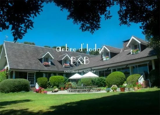 Arbre d'Lodge