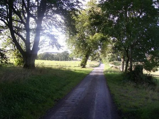 Brae Cottage Bed and Breakfast
