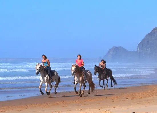 Algarve Horse Riding
