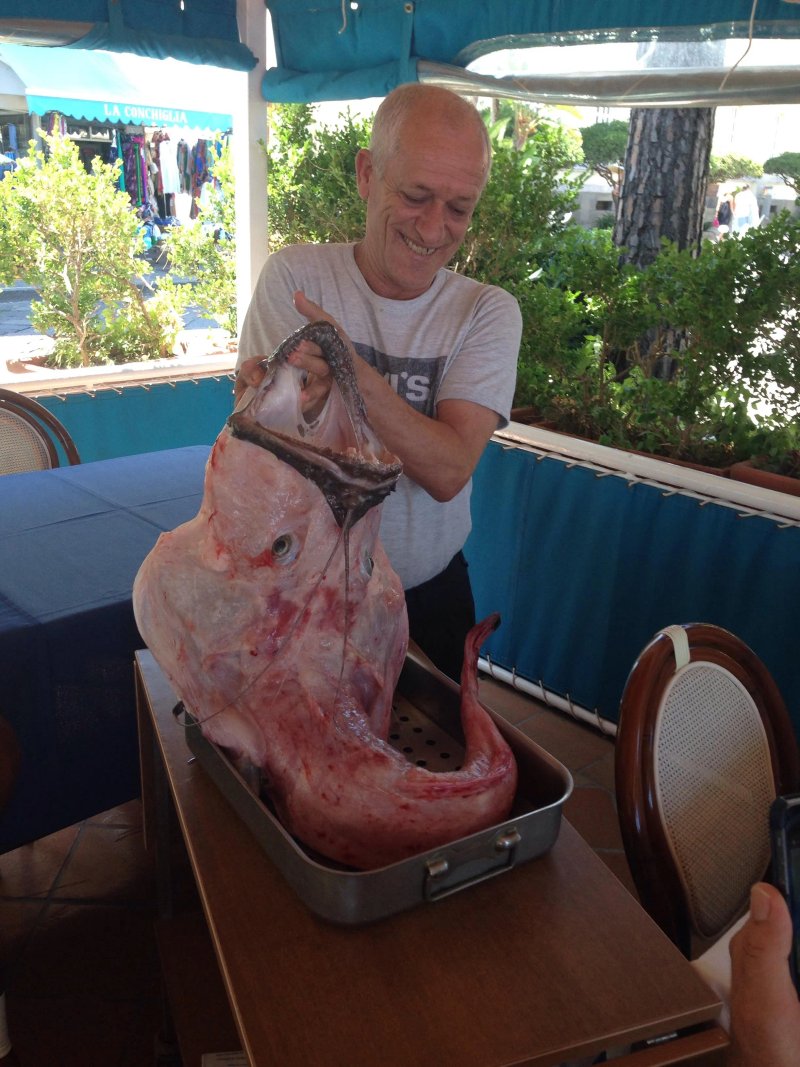 Ristorante Delfino