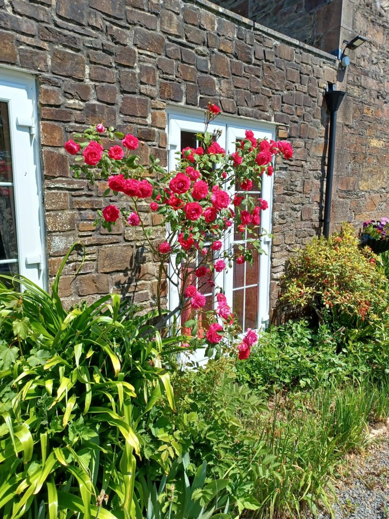 Court Barn Country House Hotel