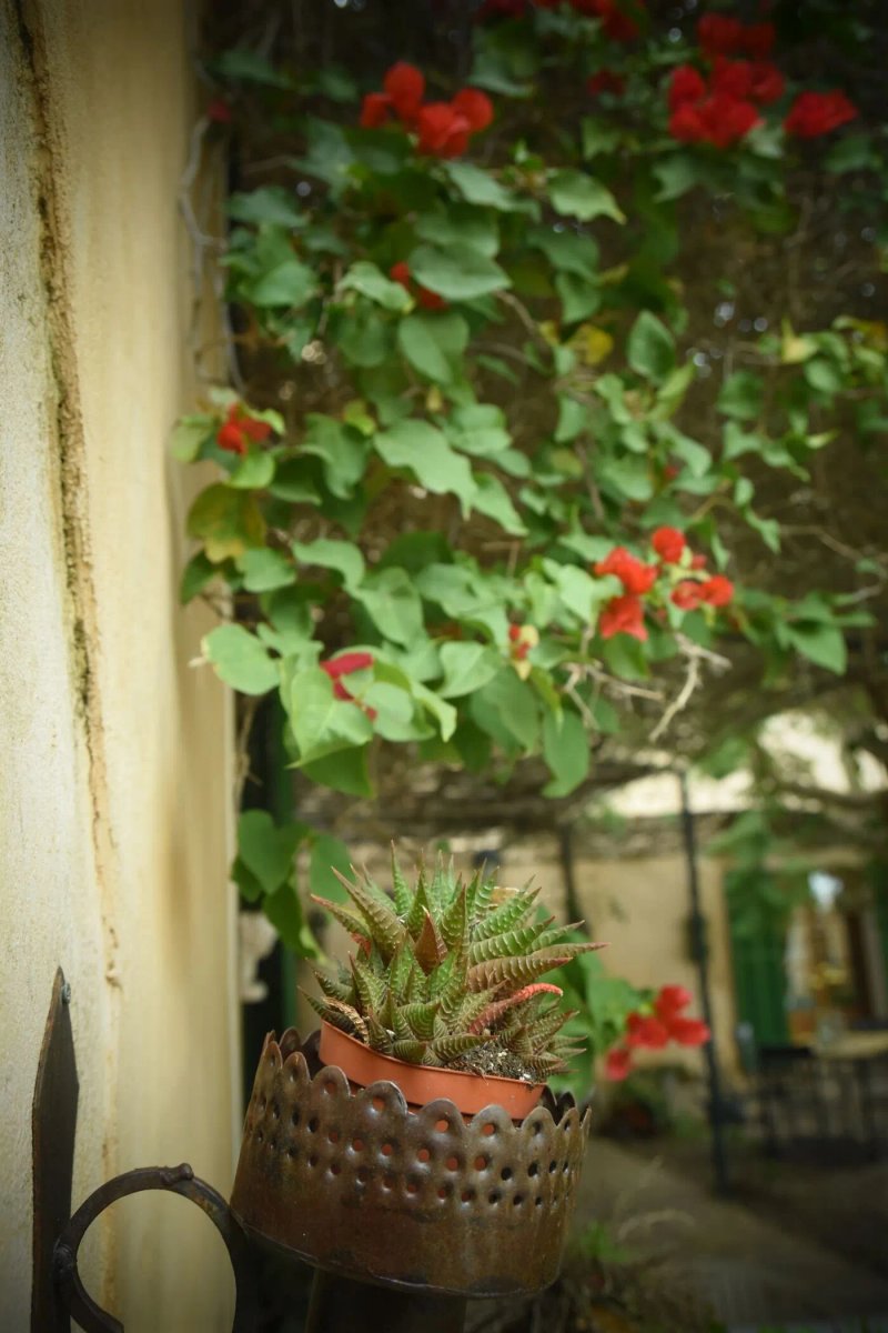 Agroturismo Fincahotel Es Llobets