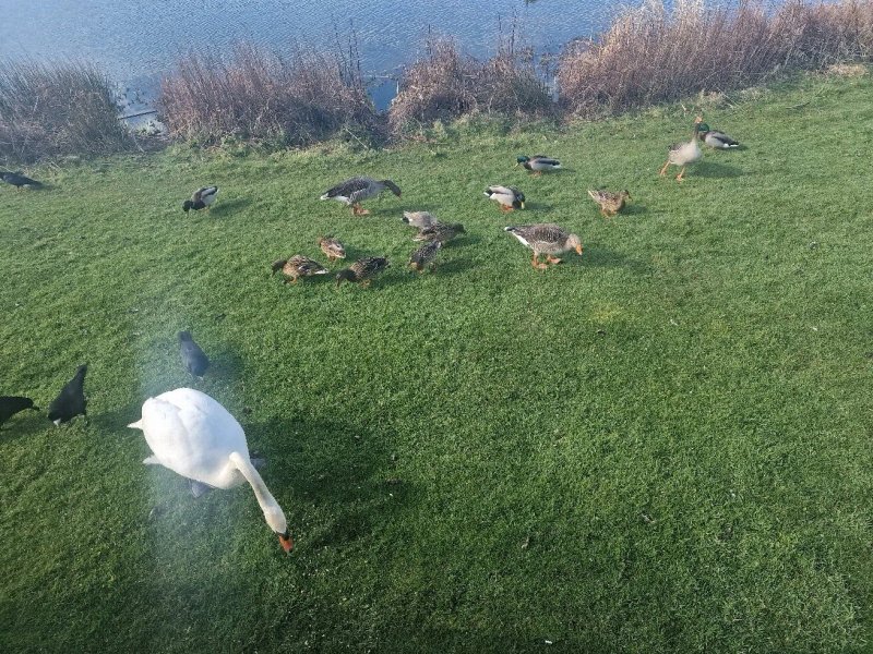 Haven - Haggerston Castle Holiday Park