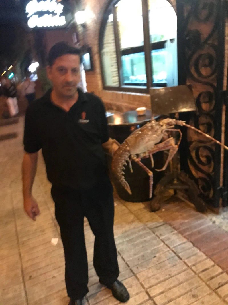 Galicia Meson Restaurante