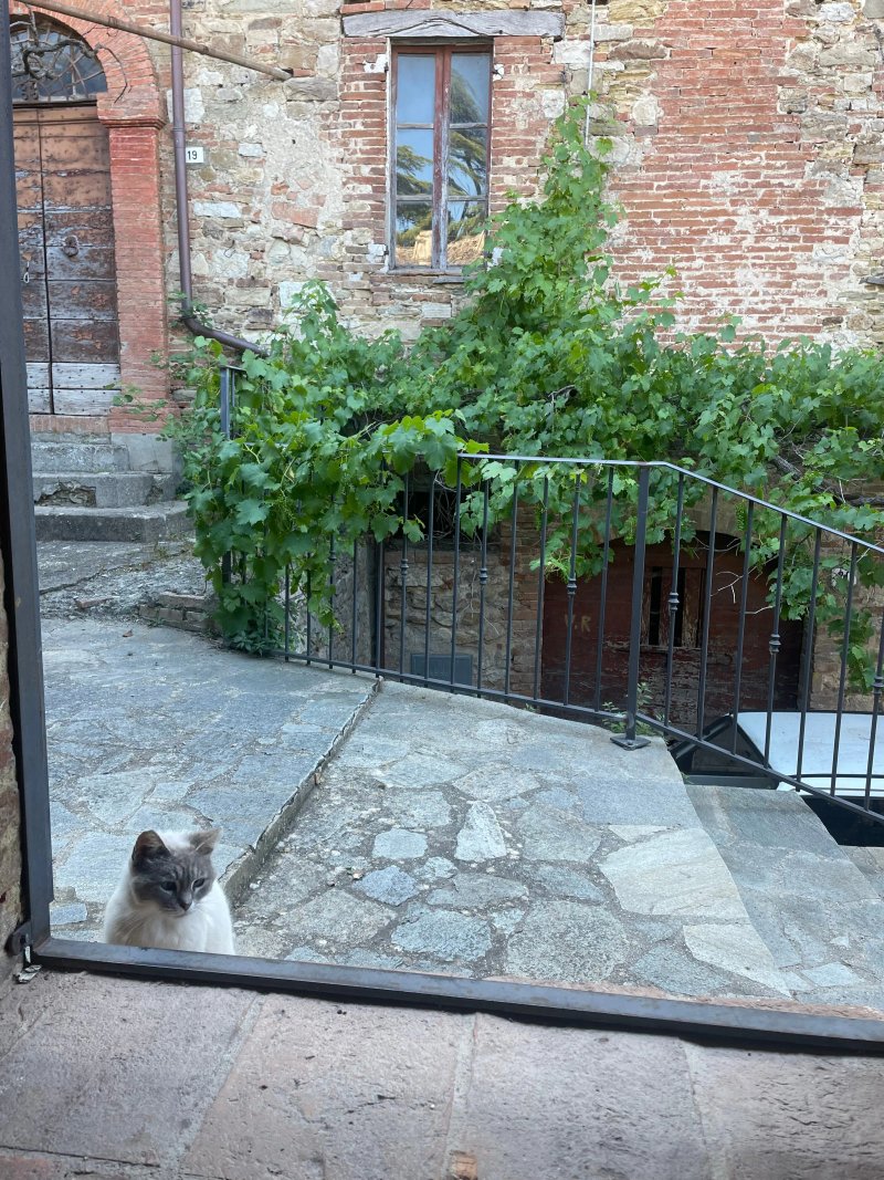 Fattoria Aquilone