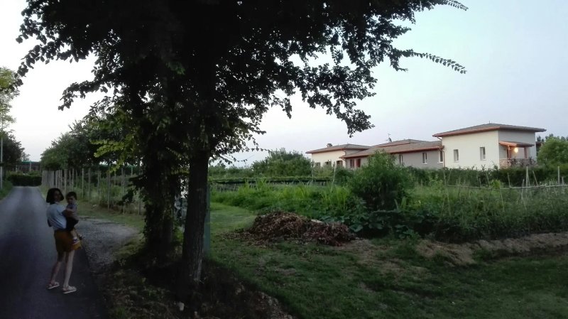 Agriturismo Corte Aurea