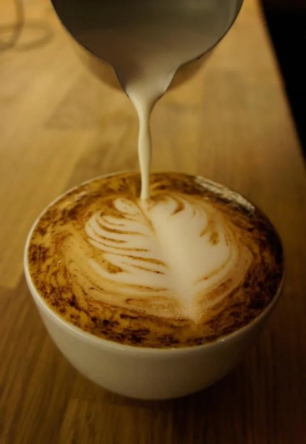 Cafe Katz