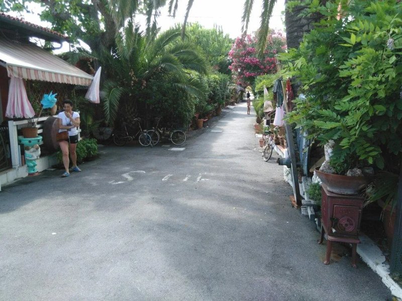 Camping Oasi Lionetta