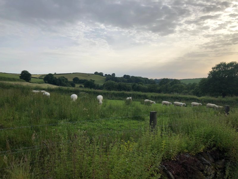 Devon Country Barns