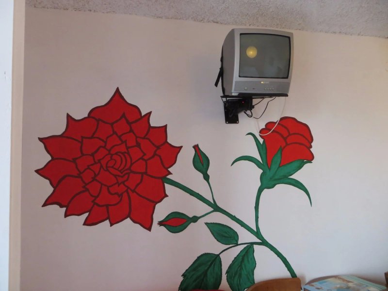 Azalea View Studios