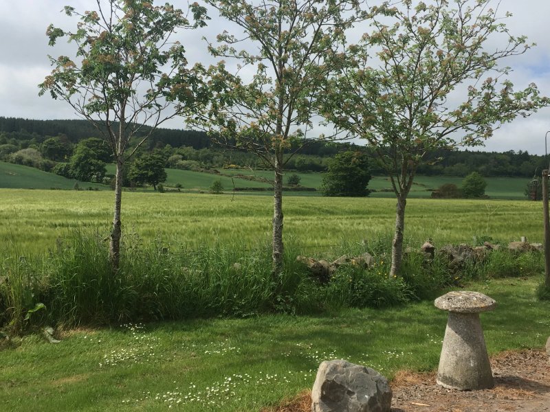Press Mains Estate Farm and Cottages