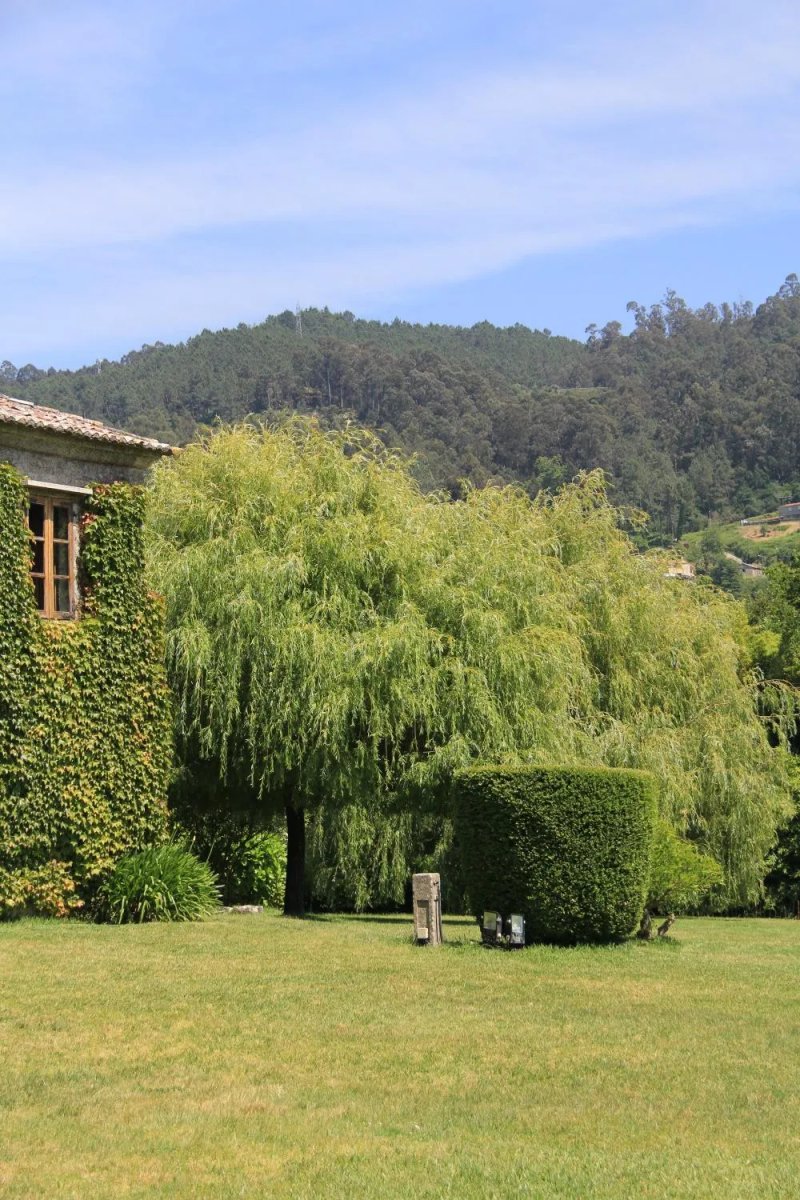 Pazo da Touza