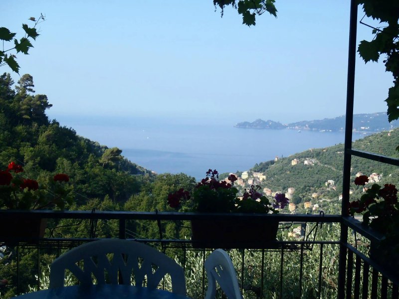 Agriturismo Cerisola 2003