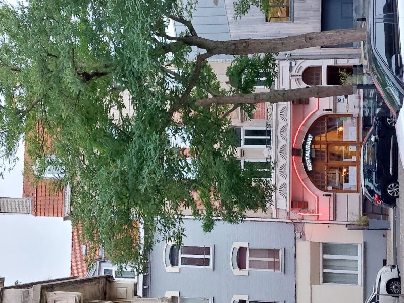 Logis Hôtel Borel