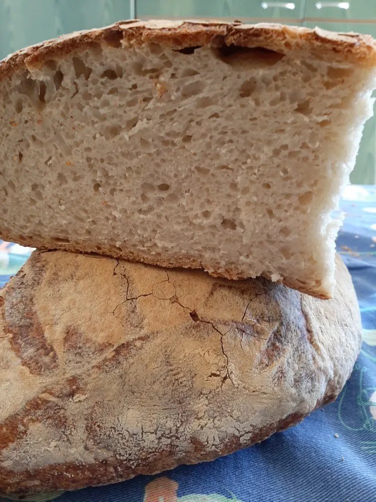 Pane