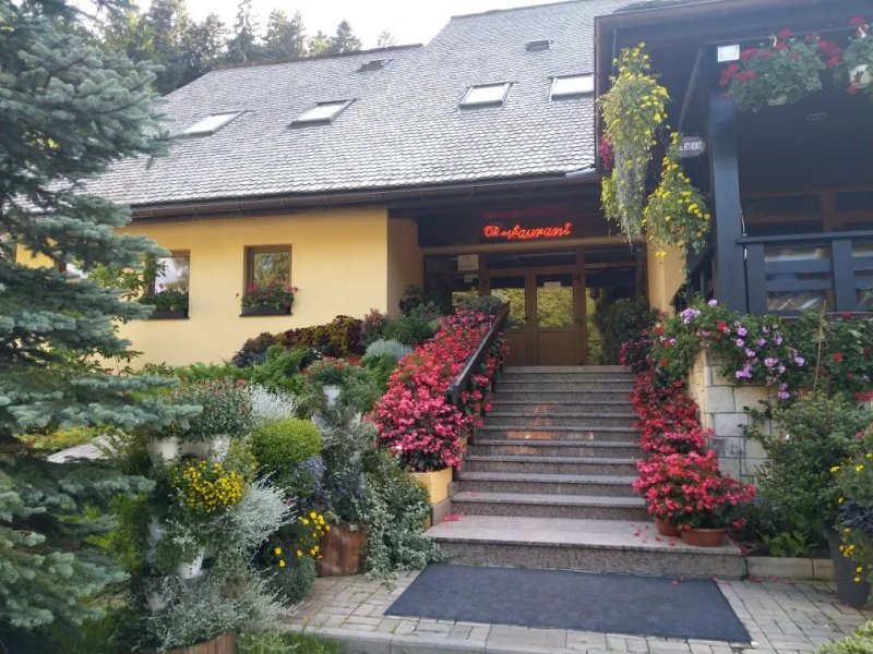 Popas Turistic Bucovina