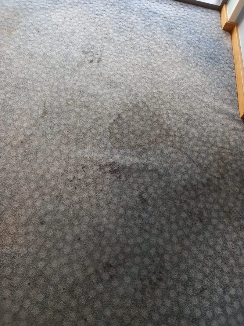 Travelodge Christchurch