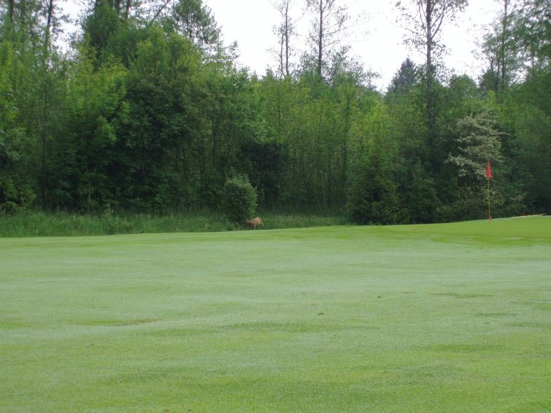 Clubrestaurant Golfclub Beuerberg