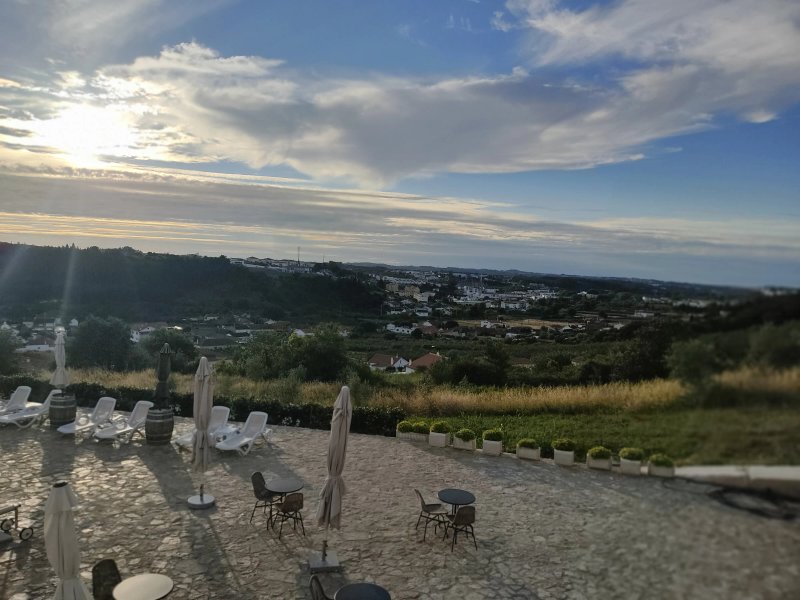 The Olive Hill Guesthouse