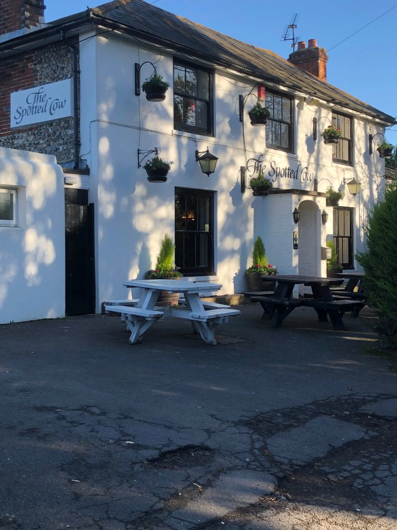 The Spotted Cow