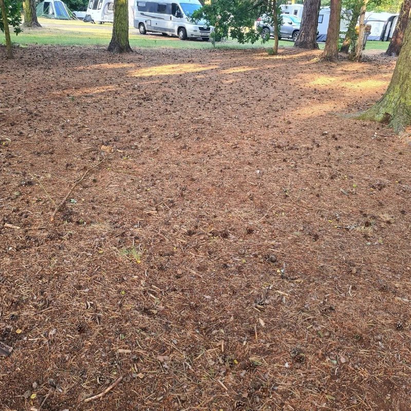 Sandringham Camping and Caravanning Club Site