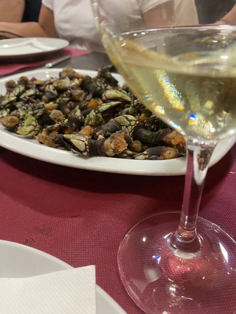 Vilavella Restaurante Meson