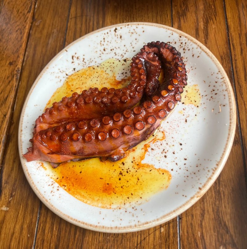 Pulpo Negro