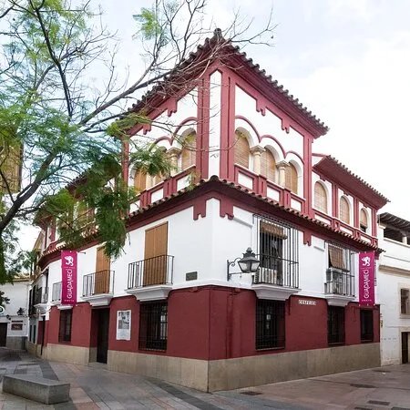 Casa-Museo del Guadameci Omeya