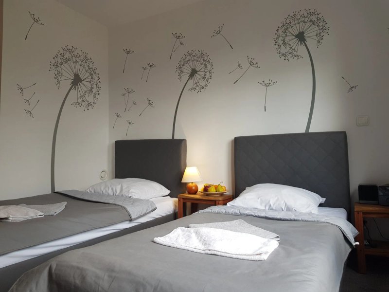 Czajka B&B