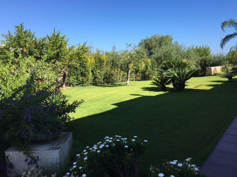 B&B Albero Del Miglio