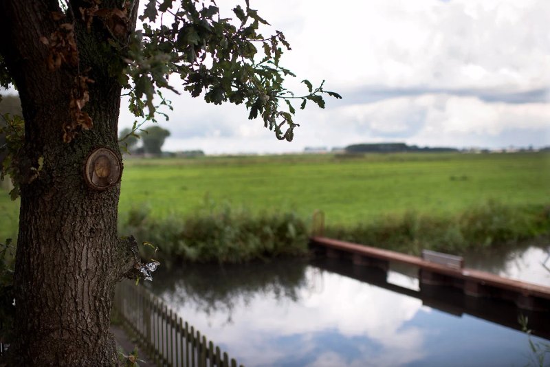 In de Oude Zagerij - I Saw