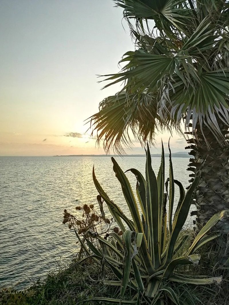 Hotel Baia Blu
