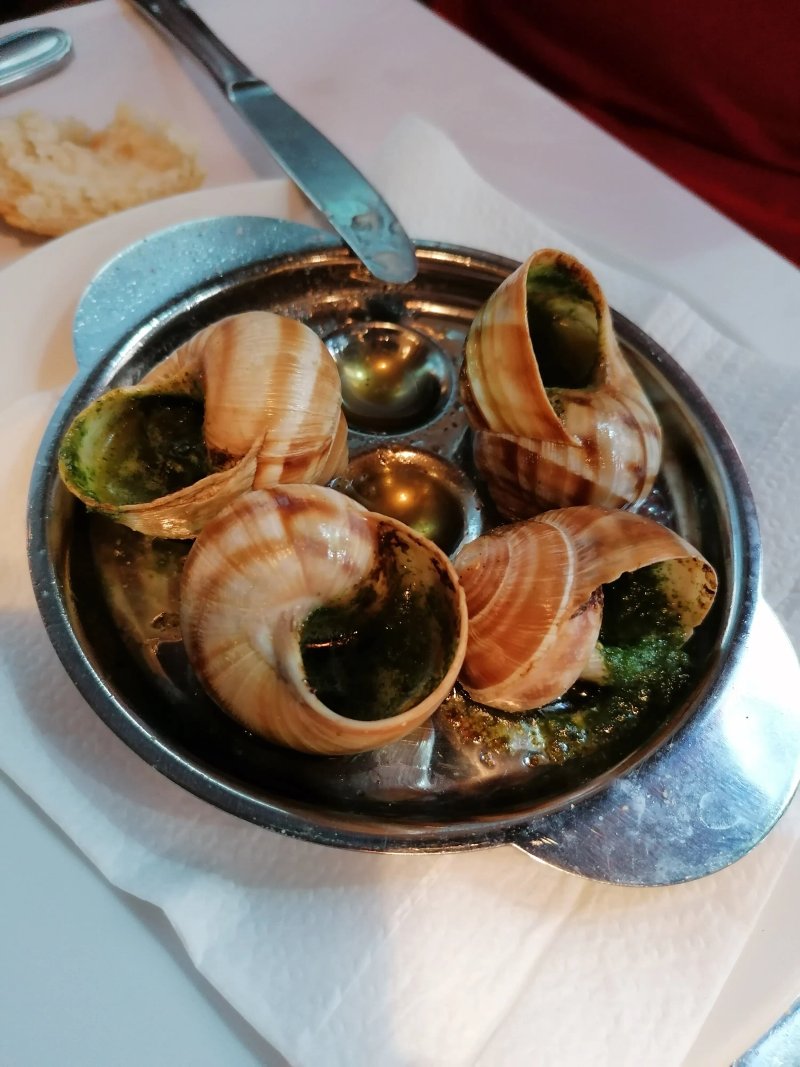 Le Coin de l'Ecailler