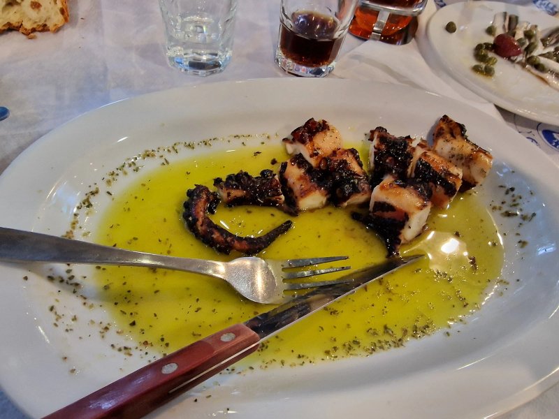 Psaromezedes Antonia