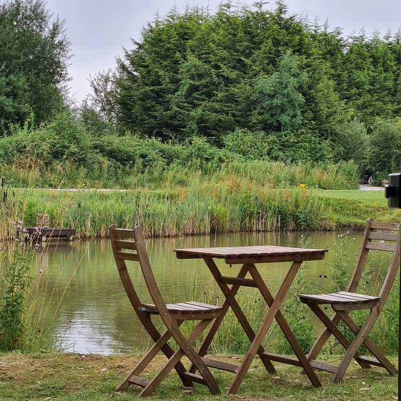 Driftwood Lodges Glamping