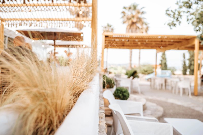Ficus - Food & Beverage