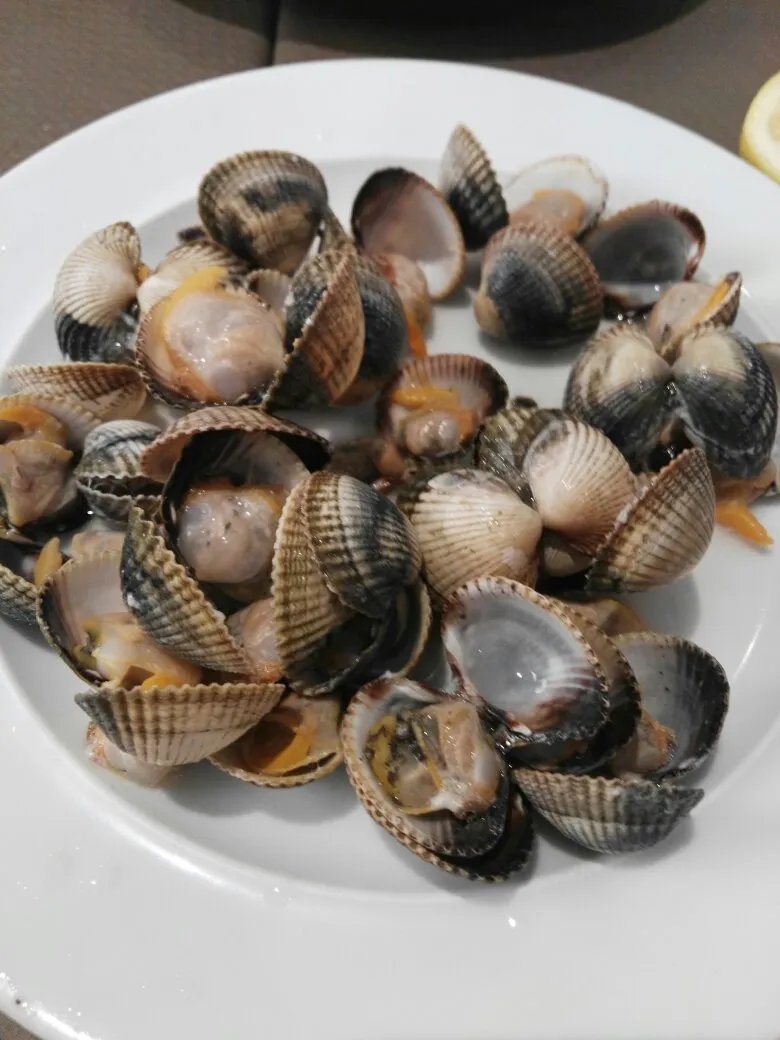 A esmorga-posada Del Mar