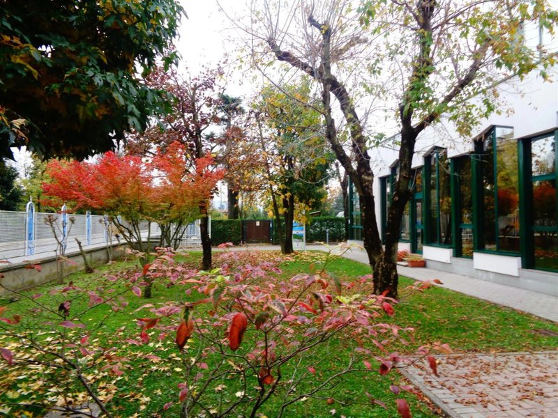 Hotel Camping Terme Mamma Margherita